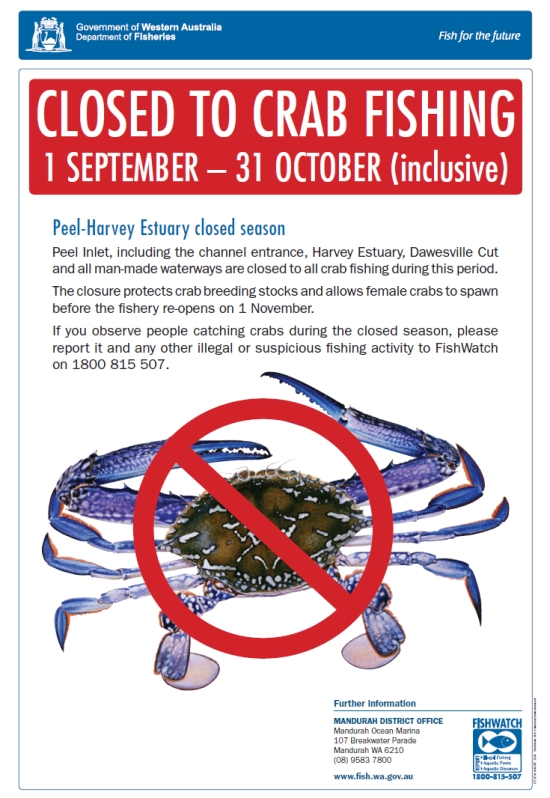 Mandurah crab fishing closure monitored Fishing World Australia